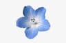 Profile picture of madie's archives