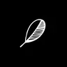 Profile picture of indify.co
